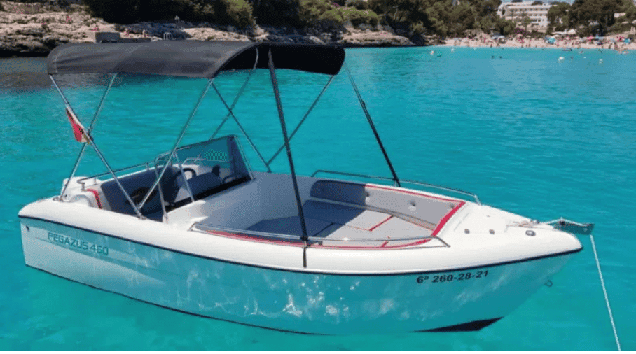 Pegazus 450 - photo 1