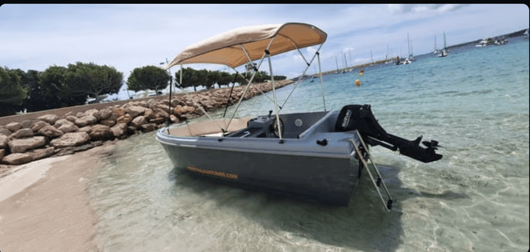 Namare Fenix - photo 3