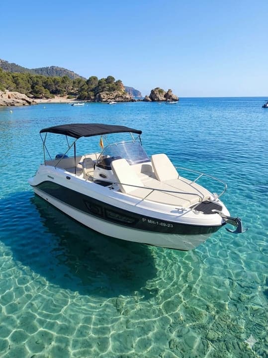 Active 805 sundeck - photo 5
