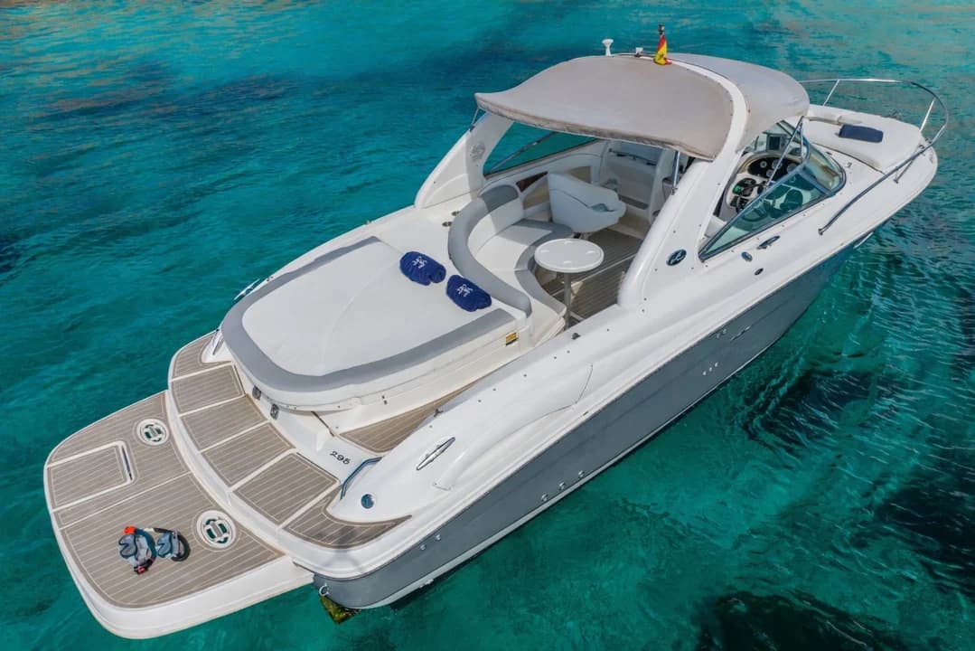 Sea Ray 295 Infinity - photo 2