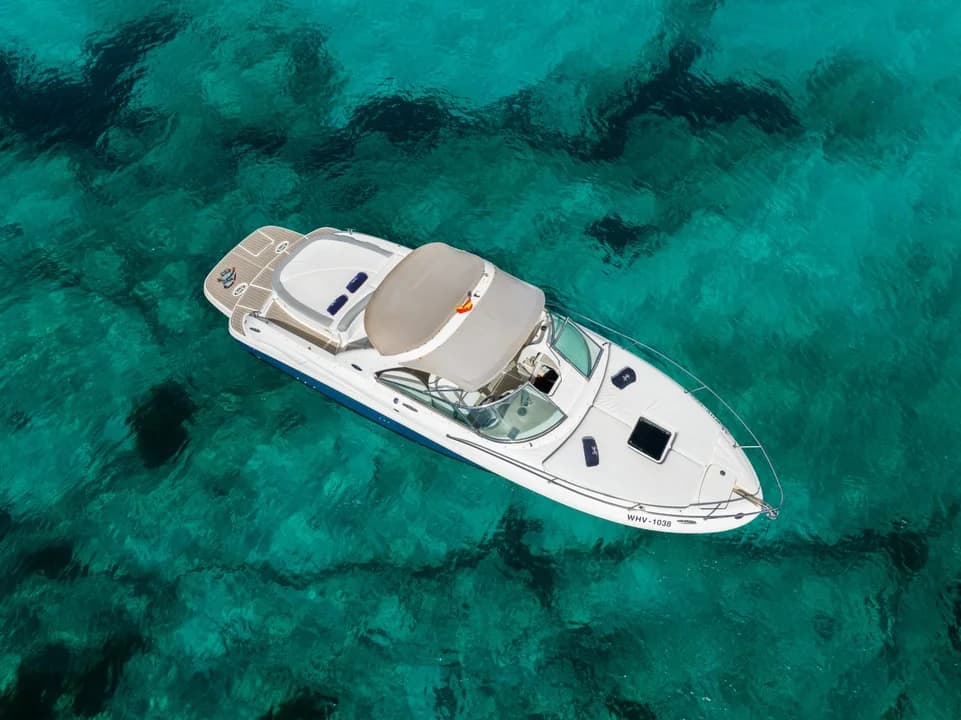 Sea Ray 295 Infinity - photo 1