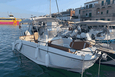 BENETEAU FLYER 8.0 SpaceDECK - photo 2
