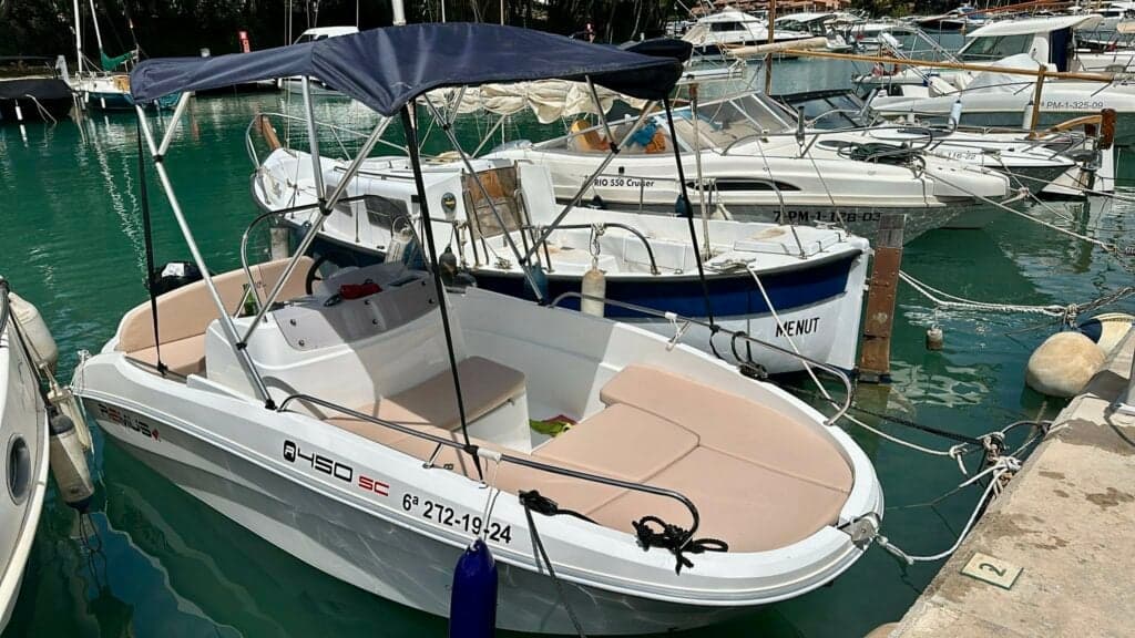 Remus 450 - photo 2