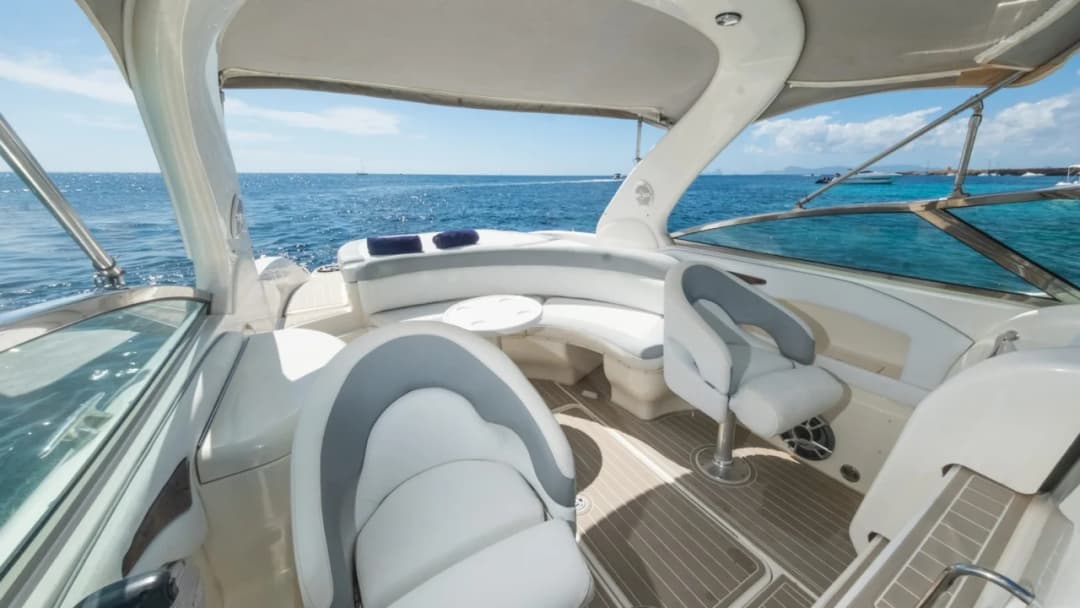 Sea Ray 295 Infinity - photo 5