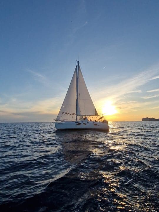 Velero - Mallorca
