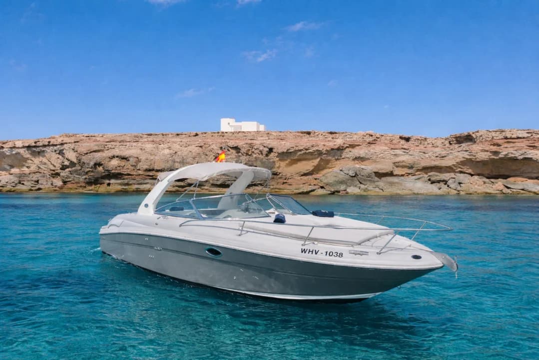 Sea Ray 295 Infinity - photo 3