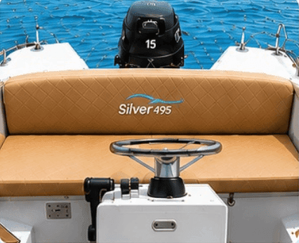 silver 495 - photo 4
