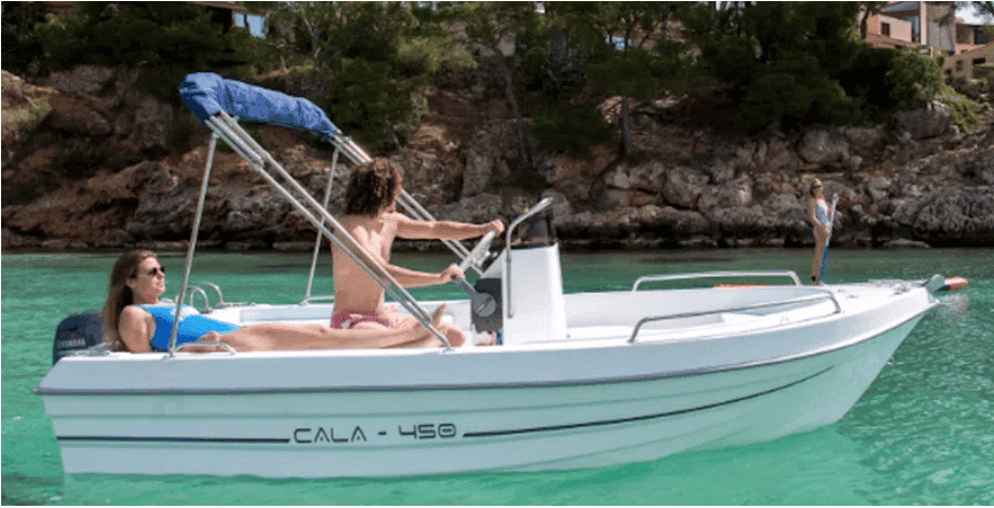  Dipol Cala 450 - photo 1