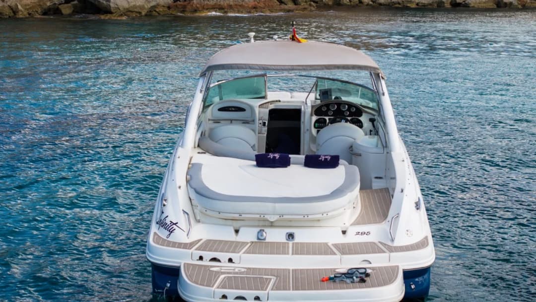 Sea Ray 295 Infinity - photo 4
